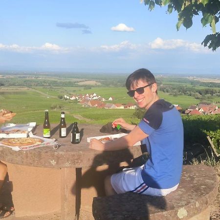 Le P'Tit Coin De Chez Nous Villa Dambach Exteriör bild