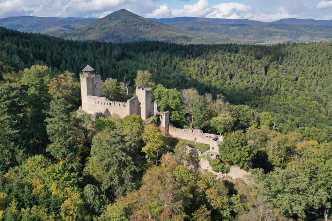 Le P'Tit Coin De Chez Nous Villa Dambach Exteriör bild