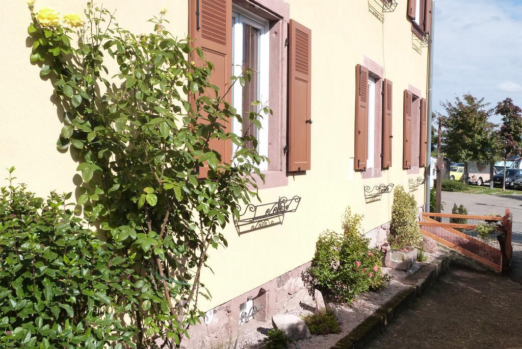 Le P'Tit Coin De Chez Nous Villa Dambach Exteriör bild
