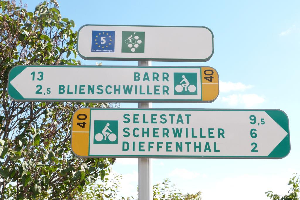 Le P'Tit Coin De Chez Nous Villa Dambach Exteriör bild