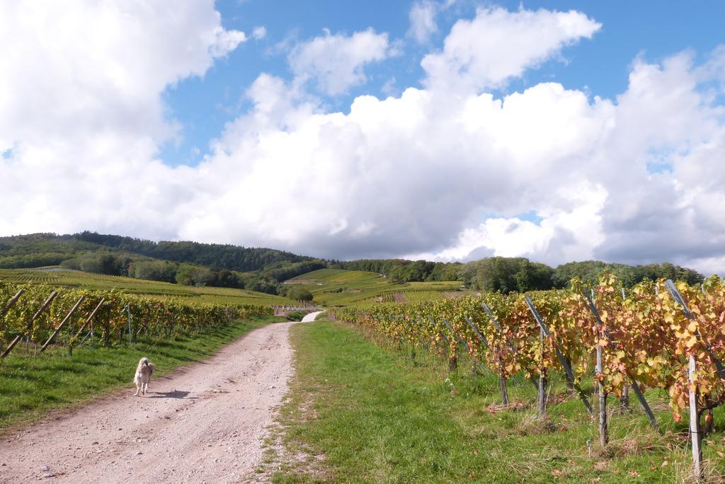 Le P'Tit Coin De Chez Nous Villa Dambach Exteriör bild