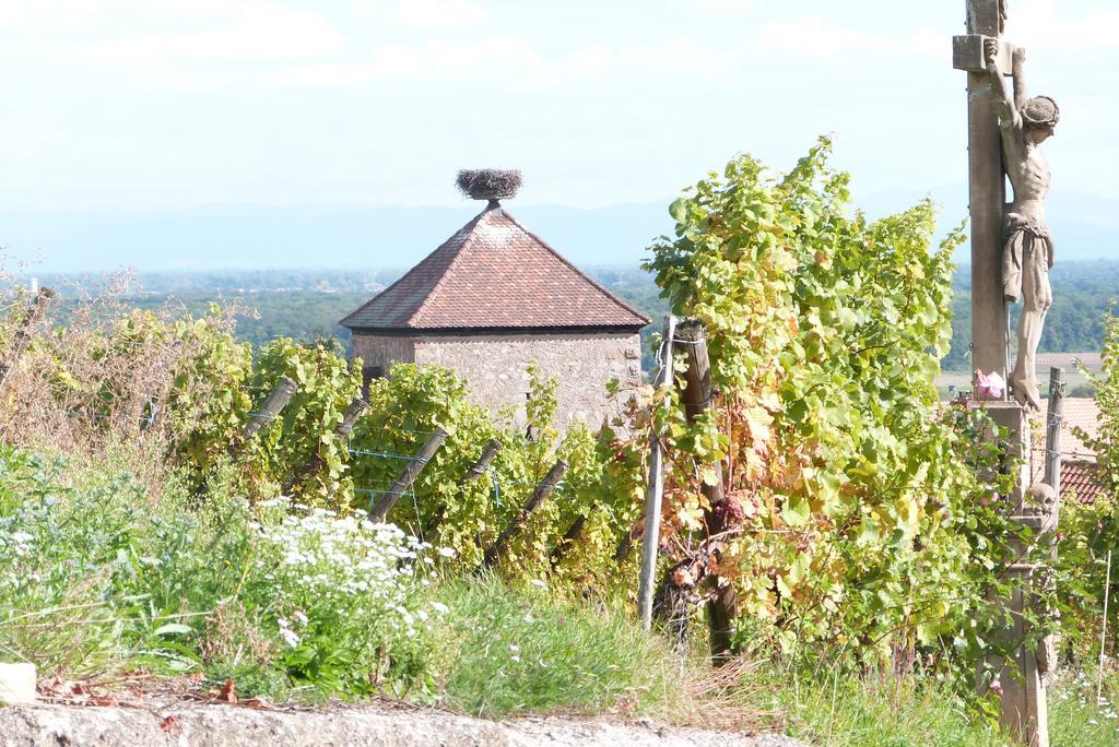 Le P'Tit Coin De Chez Nous Villa Dambach Exteriör bild