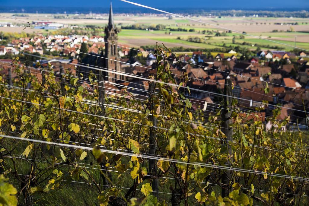 Le P'Tit Coin De Chez Nous Villa Dambach Exteriör bild