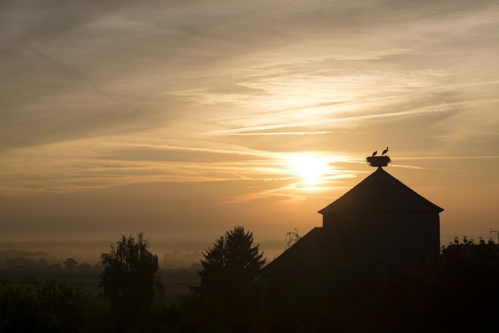 Le P'Tit Coin De Chez Nous Villa Dambach Exteriör bild
