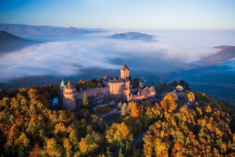 Le P'Tit Coin De Chez Nous Villa Dambach Exteriör bild